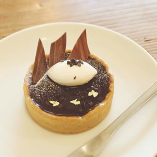 �^���g�E�V���R��